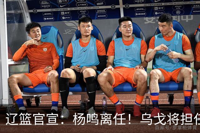 辽篮官宣：杨鸣离任！乌戈将担任辽宁男篮主帅